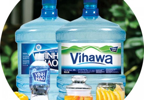 So sánh Vihawa với Ion Life: Nên chọn loại nào cho gia đình?